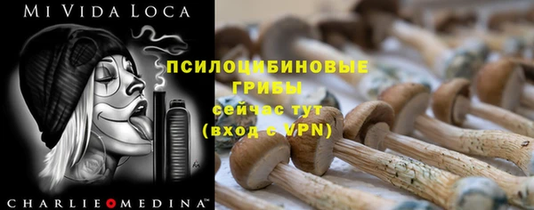 кокаин Богданович