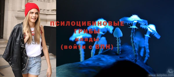 трава Богородицк
