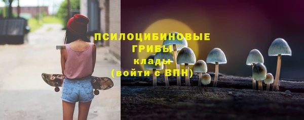 трава Богородицк