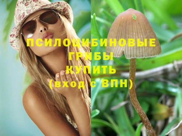 кокаин Богданович